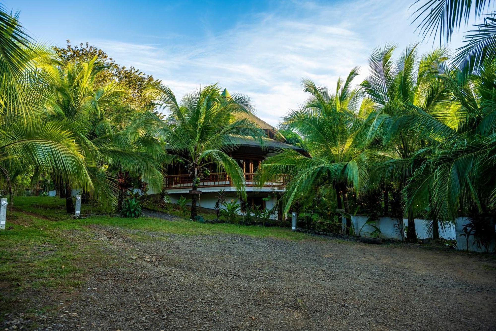 Eco-Lodge Deseo Bamboo Santa Catalina Exterior photo